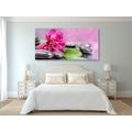 WANDBILD ORCHIDEE MIT HAUCH VON ENTSPANNUNG - BILDER MIT FENG SHUI-MOTIVEN - BILDER