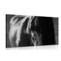 CANVAS PRINT MAJESTIC HORSE IN BLACK AND WHITE - BLACK AND WHITE PICTURES - PICTURES