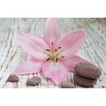 SELF ADHESIVE WALL MURAL PINK LILY AND ZEN STONES - SELF-ADHESIVE WALLPAPERS - WALLPAPERS