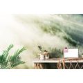 SELF ADHESIVE WALL MURAL MISTY FOREST - SELF-ADHESIVE WALLPAPERS - WALLPAPERS