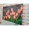 WANDBILD BEZAUBERNDE ORANGE TULPEN AUF HOLZUNTERGRUND - BILDER - 🔥 TOTALAUSVERKAUF 🔥