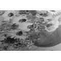 CANVAS PRINT OIL PAINTING OF SUMMER FLOWERS IN BLACK AND WHITE - BLACK AND WHITE PICTURES - PICTURES