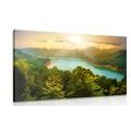 CANVAS PRINT RIVER IN THE MIDDLE OF A GREEN FOREST - PICTURES OF NATURE AND LANDSCAPE{% if product.category.pathNames[0] != product.category.name %} - PICTURES{% endif %}