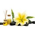 WANDBILD LILIEN UND WELLNESS-STILLLEBEN - 🔥 TOTALAUSVERKAUF 🔥