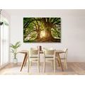 TABLEAU SUR TOILE – ARBRES MAJESTUEUX - TABLEAUX DE LA NATURE ET DES PAYSAGES - TABLEAUX