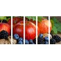 5-PIECE CANVAS PRINT AUTUMN HARVEST - PICTURES OF FOOD AND DRINKS - PICTURES