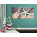 CANVAS PRINT STARFISH ON THE BEACH - STILL LIFE PICTURES - PICTURES