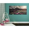 CANVAS PRINT MEADOW OF BLOOMING FLOWERS - PICTURES OF NATURE AND LANDSCAPE{% if product.category.pathNames[0] != product.category.name %} - PICTURES{% endif %}
