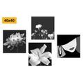 CANVAS PRINT SET ELEGANCE OF A WOMAN AND FLOWERS IN BLACK AND WHITE - SET OF PICTURES - PICTURES