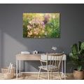 CANVAS PRINT WATERCOLOR DRAWING OF A MOUNTAIN PLANT - PICTURES FLOWERS - PICTURES