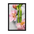 POSTER GENTLE ZEN COMPOSITION - FENG SHUI - POSTERS