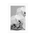 POSTER WITH MOUNT ORCHID ON A CANVAS IN BLACK AND WHITE - BLACK AND WHITE - POSTERS