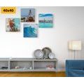 CANVAS PRINT SET SEA BREEZE - SET OF PICTURES - PICTURES