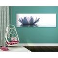 CANVAS PRINT LOTUS FLOWER - PICTURES FLOWERS - PICTURES