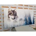 CANVAS PRINT WOLF IN A SNOWY LANDSCAPE - PICTURES OF ANIMALS - PICTURES