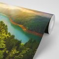 FOTOBEHANG RIVIER MIDDEN IN HET BOS - FOTOBEHANG - MEGA UITVERKOOP TOT 70% 🔥