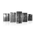 5-PIECE CANVAS PRINT MORNING IN THE FOREST IN BLACK AND WHITE - BLACK AND WHITE PICTURES - PICTURES