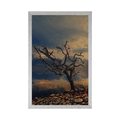 POSTER TROCKENER BAUM - NATUR - POSTER