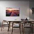 TABLEAU SUR TOILE – SOLEIL AU-DESSUS D’UN CHAMP DE LAVANDE - TABLEAUX DE CHAMPS ET PRAIRIES - TABLEAUX