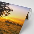 SELF ADHESIVE WALL MURAL TREE AT SUNSET - SELF-ADHESIVE WALLPAPERS - WALLPAPERS