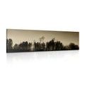 CANVAS PRINT SEPIA FOREST - BLACK AND WHITE PICTURES - PICTURES