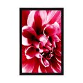 POSTER PINK FLOWER - FLOWERS - POSTERS