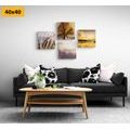 CANVAS PRINT SET WONDERS OF NATURE - SET OF PICTURES - PICTURES