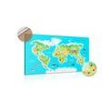 DECORATIVE PINBOARD GEOGRAPHICAL MAP OF THE WORLD FOR CHILDREN - PICTURES ON CORK - PICTURES