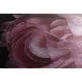 CANVAS PRINT BOUQUET OF FLOWERS IN CLOSE-UP - PICTURES FLOWERS - PICTURES