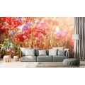 WALL MURAL SUN-DRENCHED POPPIES - WALLPAPERS FLOWERS - WALLPAPERS