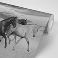 WALLPAPER BLACK AND WHITE HERD OF HORSES - BLACK AND WHITE WALLPAPERS - WALLPAPERS