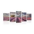 5-PIECE CANVAS PRINT LANDSCAPE OF LAVENDER FIELDS - PICTURES OF NATURE AND LANDSCAPE - PICTURES