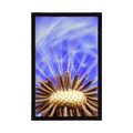 POSTER DANDELION IN PURPLE DESIGN - FLOWERS - POSTERS