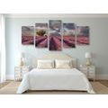 5-PIECE CANVAS PRINT LANDSCAPE OF LAVENDER FIELDS - PICTURES OF NATURE AND LANDSCAPE - PICTURES