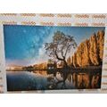 CANVAS PRINT TREE UNDER A STARRY SKY - PICTURES OF NATURE AND LANDSCAPE - PICTURES