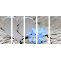 5-PIECE CANVAS PRINT HEART ON OLD WOOD - STILL LIFE PICTURES{% if product.category.pathNames[0] != product.category.name %} - PICTURES{% endif %}