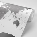 SELF ADHESIVE WALLPAPER WORLD MAP WITH INDIVIDUAL STATES IN GRAY COLOR - SELF-ADHESIVE WALLPAPERS - WALLPAPERS