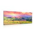 CANVAS PRINT HAYSTACKS IN THE CARPATHIAN MOUNTAINS - PICTURES OF NATURE AND LANDSCAPE - PICTURES