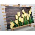 CANVAS PRINT CHARMING YELLOW TULIPS ON A WOODEN BACKGROUND - PICTURES FLOWERS{% if product.category.pathNames[0] != product.category.name %} - PICTURES{% endif %}