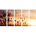 5-PIECE CANVAS PRINT GRASS BLADES AT SUNRISE - PICTURES OF NATURE AND LANDSCAPE - PICTURES