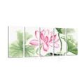 5-PIECE CANVAS PRINT WATERCOLOR LOTUS FLOWER - PICTURES FLOWERS{% if product.category.pathNames[0] != product.category.name %} - PICTURES{% endif %}