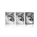 POSTER BLACK AND WHITE FLOWER PETALS - BLACK AND WHITE - POSTERS