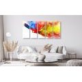 5-PIECE CANVAS PRINT PARROT FLIGHT - PICTURES OF ANIMALS - PICTURES