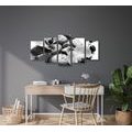 5-PIECE CANVAS PRINT BEAUTIFUL INTERPLAY OF STONES AND ORCHIDS IN BLACK AND WHITE - BLACK AND WHITE PICTURES - PICTURES