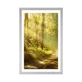 POSTER MIT PASSEPARTOUT SONNENSTRAHLEN IM WALD - NATUR - POSTER