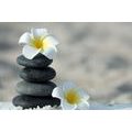 CANVAS PRINT HARMONIOUS STONES AND PLUMERIA FLOWER - PICTURES FENG SHUI - PICTURES