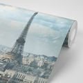 WALL MURAL WINTER PARIS - WALLPAPERS CITIES - WALLPAPERS