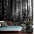 WALL MURAL BLACK AND WHITE SECRET OF THE FOREST - BLACK AND WHITE WALLPAPERS - WALLPAPERS