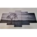 QUADRO IN 5 PARTI DI ALBERO SOLITARIOIN BIANCO E NERO - QUADRI BIANCO E NERO - QUADRI