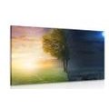 CANVAS PRINT DAY AND NIGHT - PICTURES OF NATURE AND LANDSCAPE{% if product.category.pathNames[0] != product.category.name %} - PICTURES{% endif %}